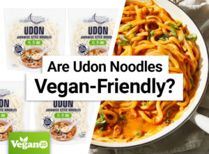 Are Udon Noodles Vegan-Friendly?