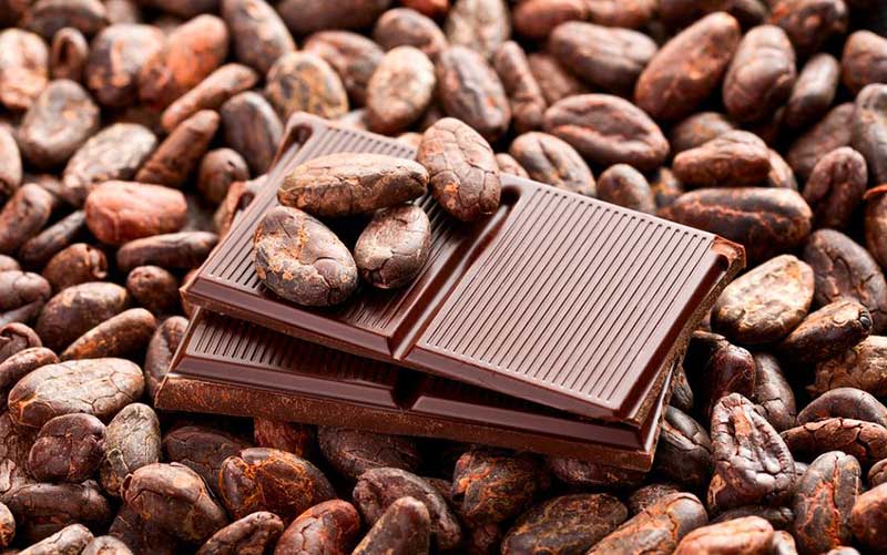 Cocoa Beans and Chocolate
