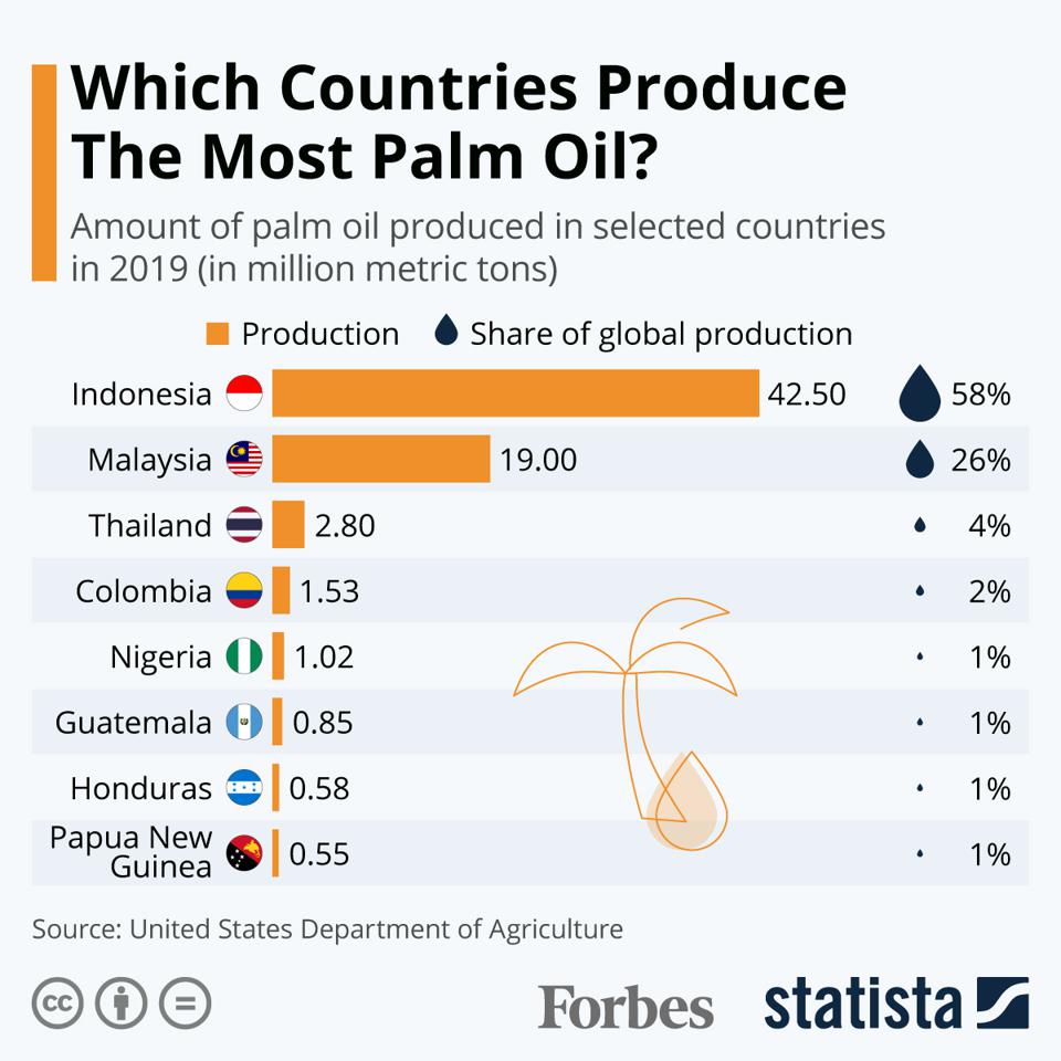 Which countries produce the most palm oil