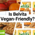 Are belVita Biscuits Vegan-Friendly?